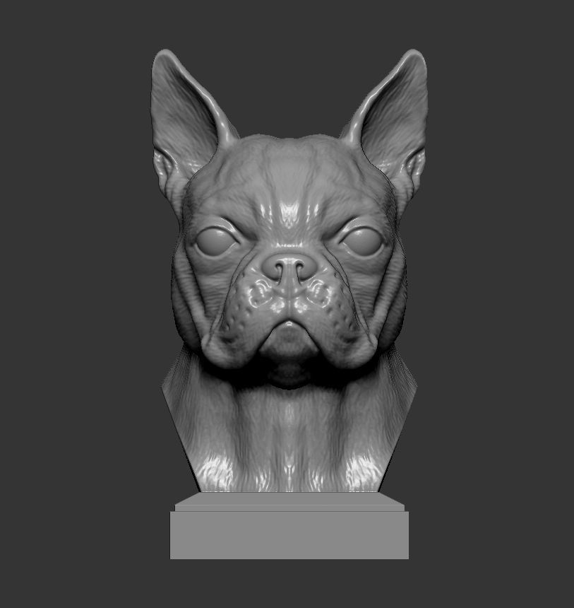 boston terrier 3D print model_5