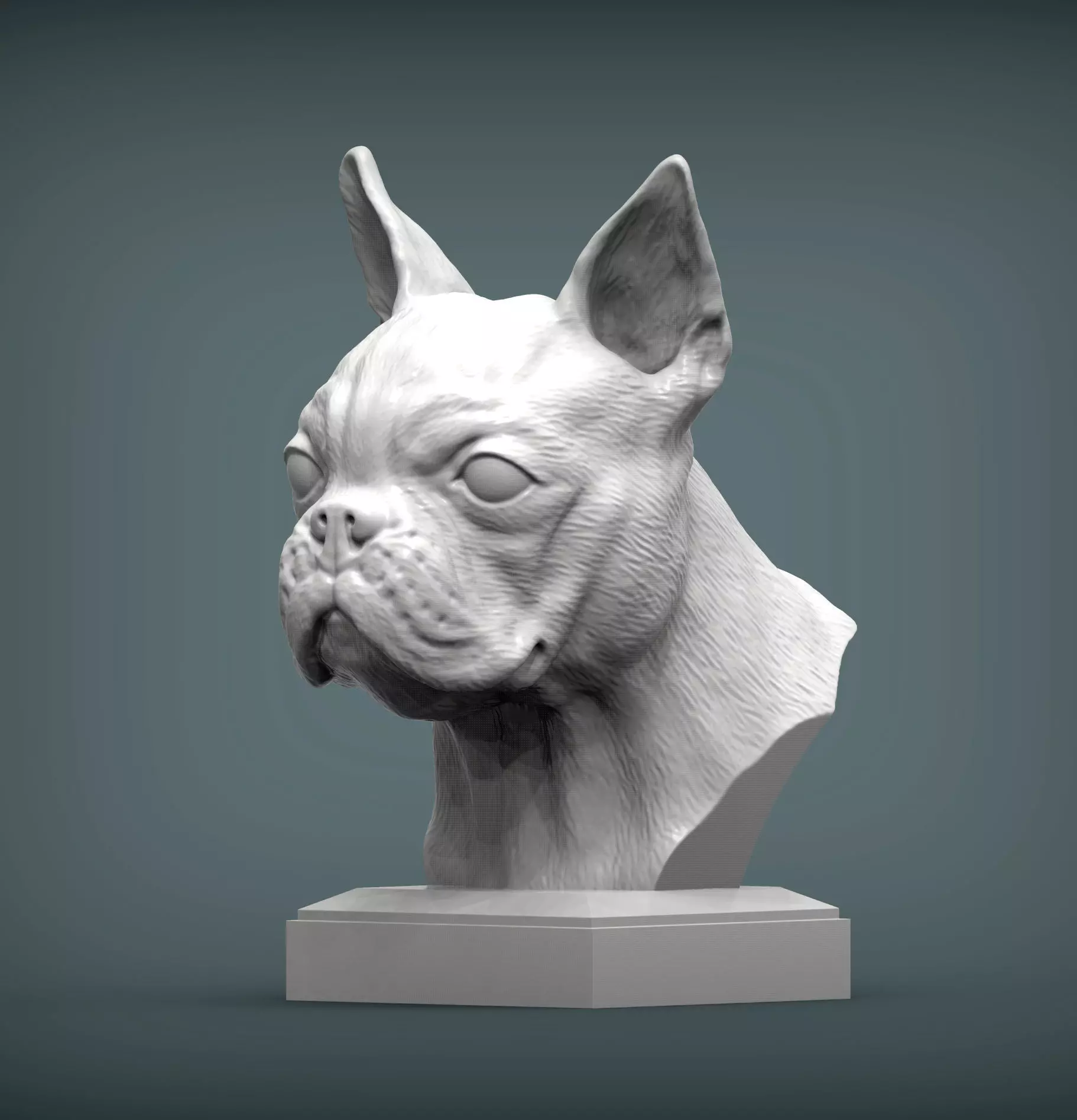 boston terrier 3D print model_0