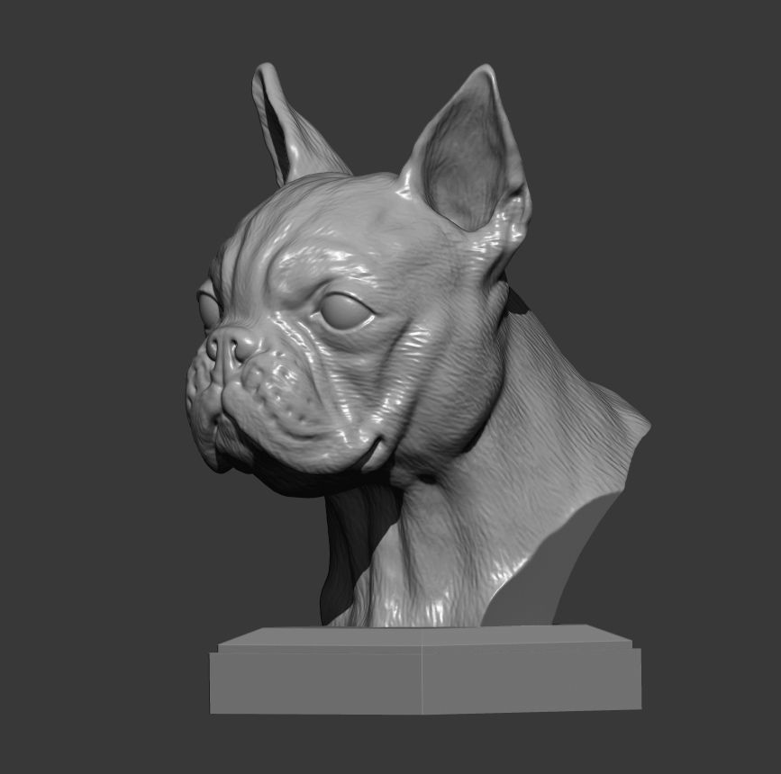 boston terrier 3D print model_6