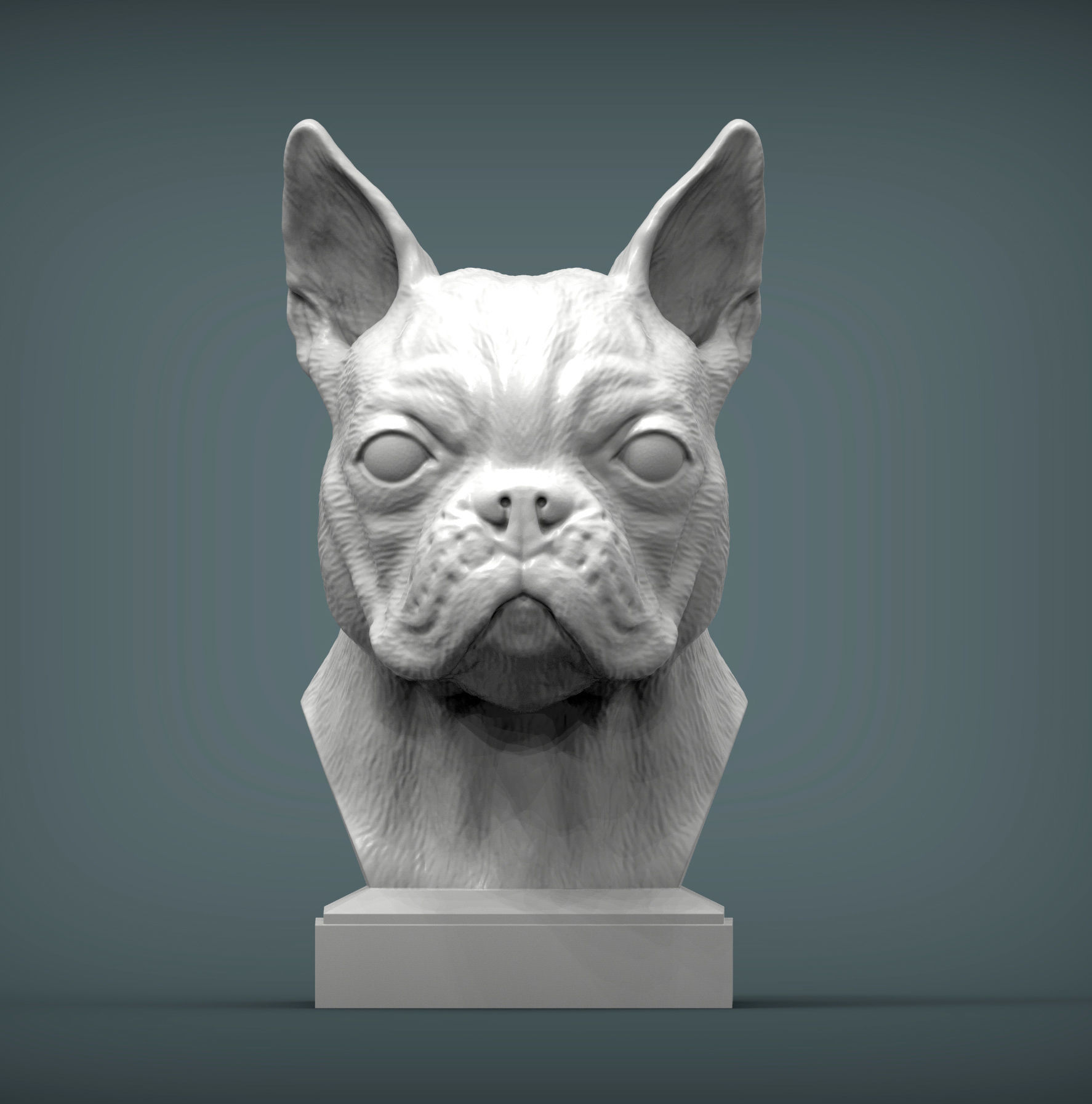 boston terrier 3D print model_1