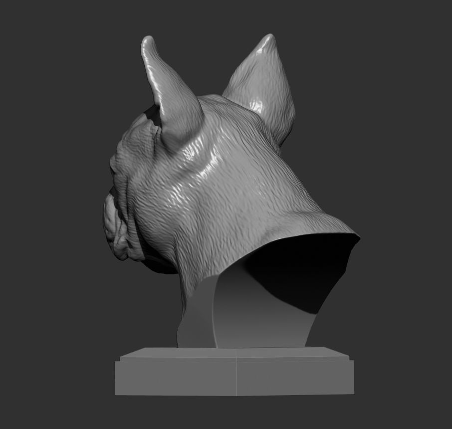 boston terrier 3D print model_4