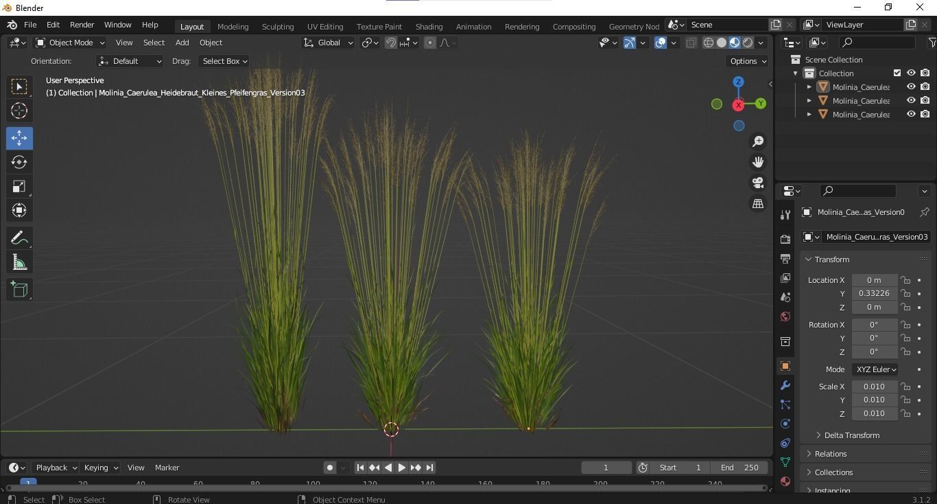Plants Molinia Caerulea Heidebraut Kleines Pfeifengras Version03 3D model_5