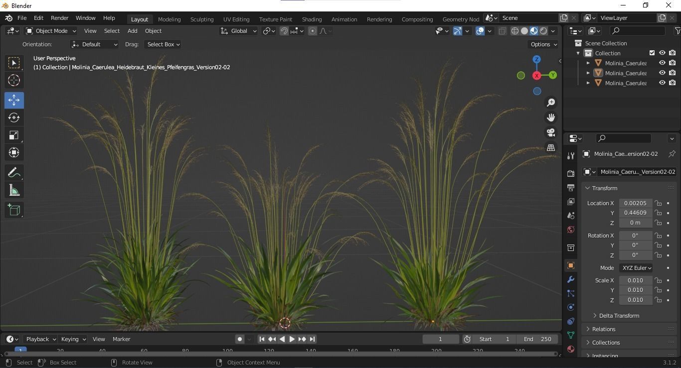 Plants Molinia Caerulea Heidebraut Kleines Pfeifengras Version02 3D model_5