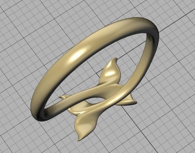 Dolphin Tail Bypass Ring 3dmodel for 3dprinting 3D print model_35