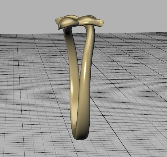 Dolphin Tail Bypass Ring 3dmodel for 3dprinting 3D print model_34