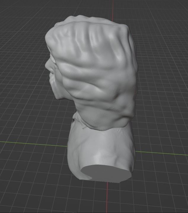 Steve Hackett 3D print model_18