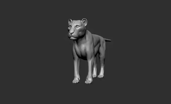 LION Model