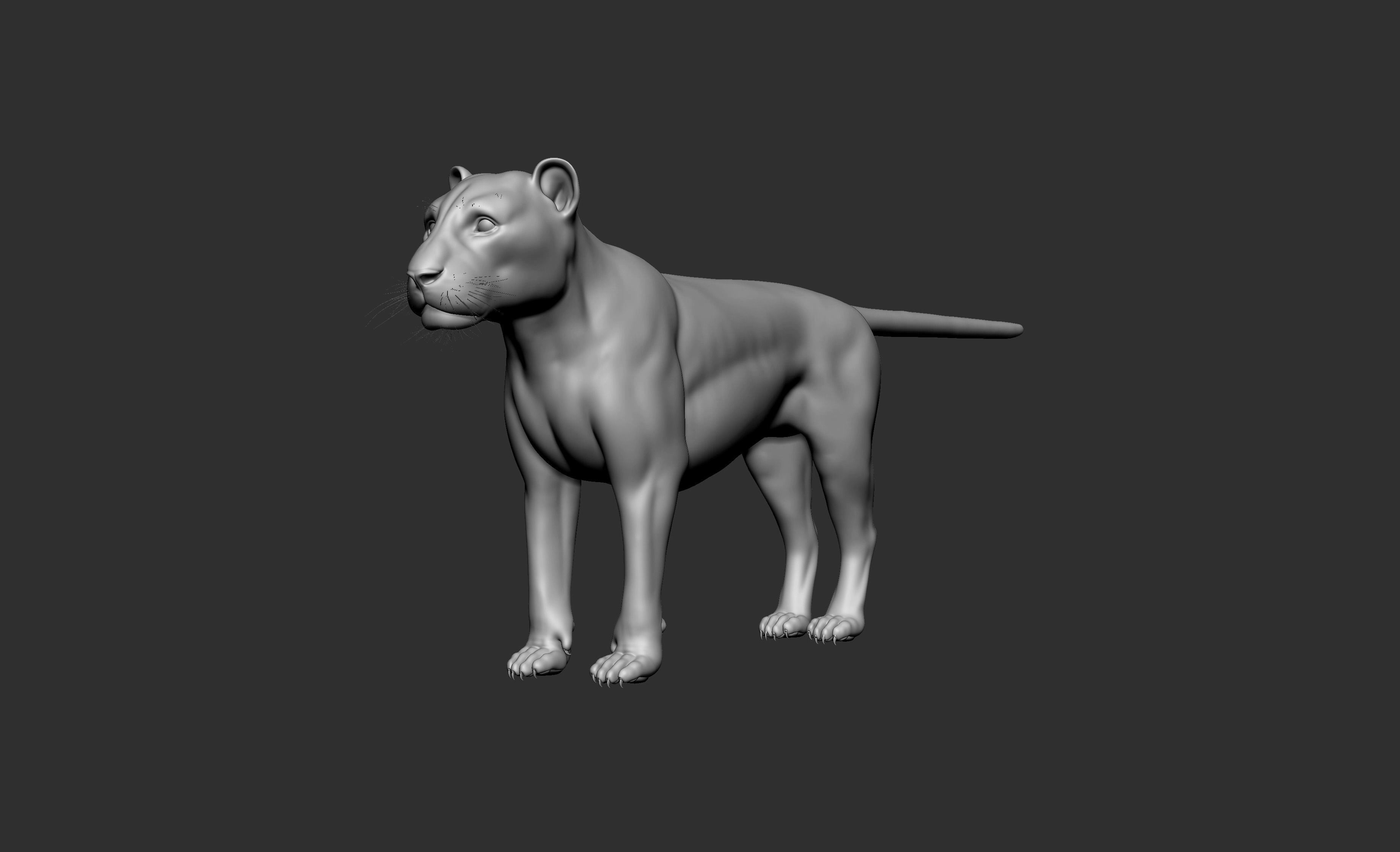 LION Model 3D model_2