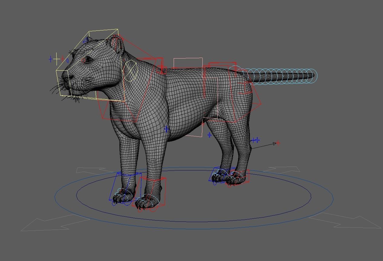 LION Model 3D model_5