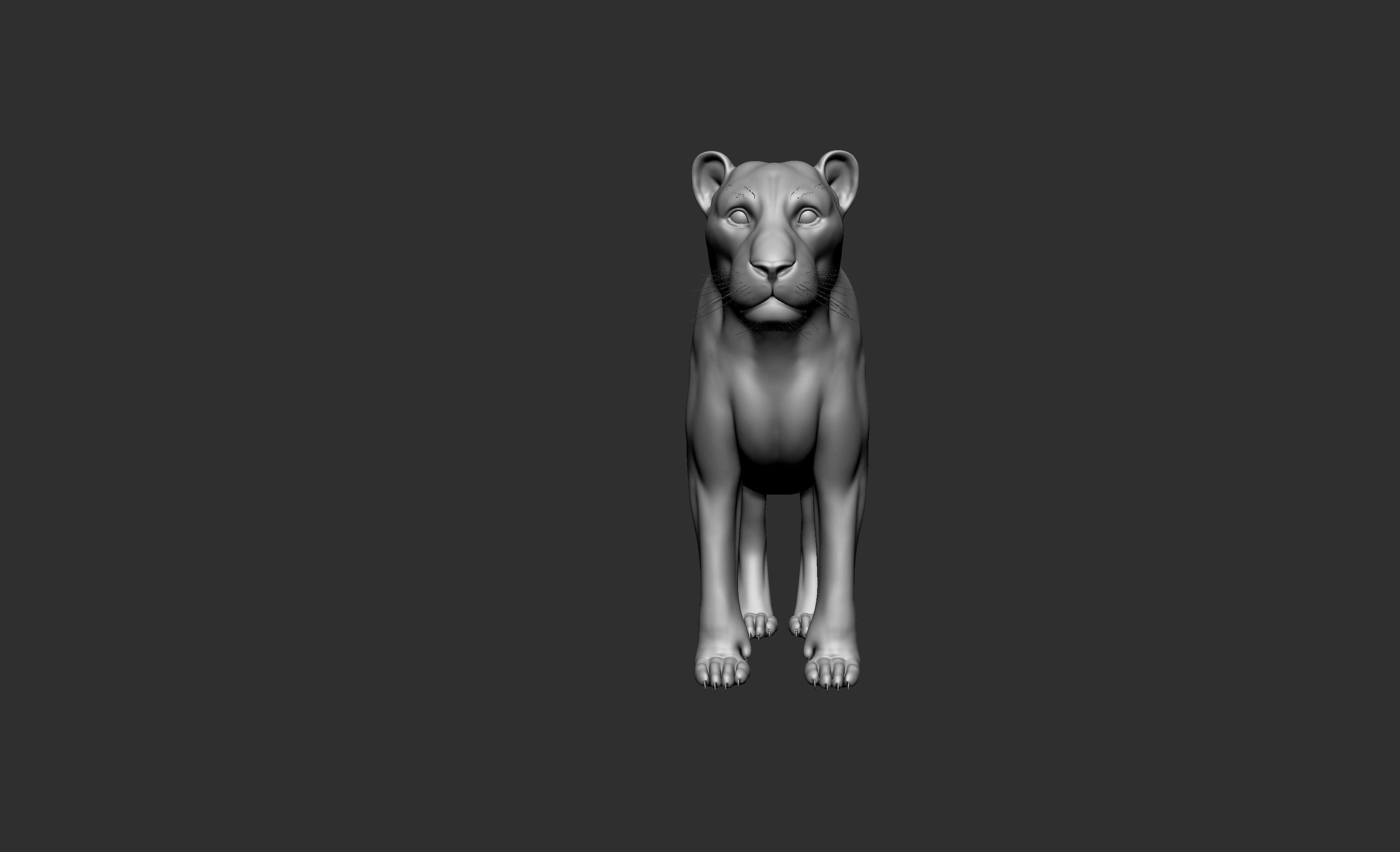 LION Model 3D model_1
