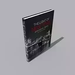 book THE LIGHT OF NEW YORK Free 3D model