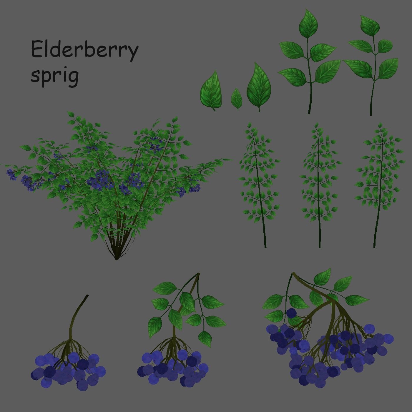 Pack Stylized handpainted plants and sprigs Low-poly 3D model_3