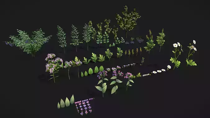 Pack Stylized handpainted plants and sprigs Low-poly 3D model