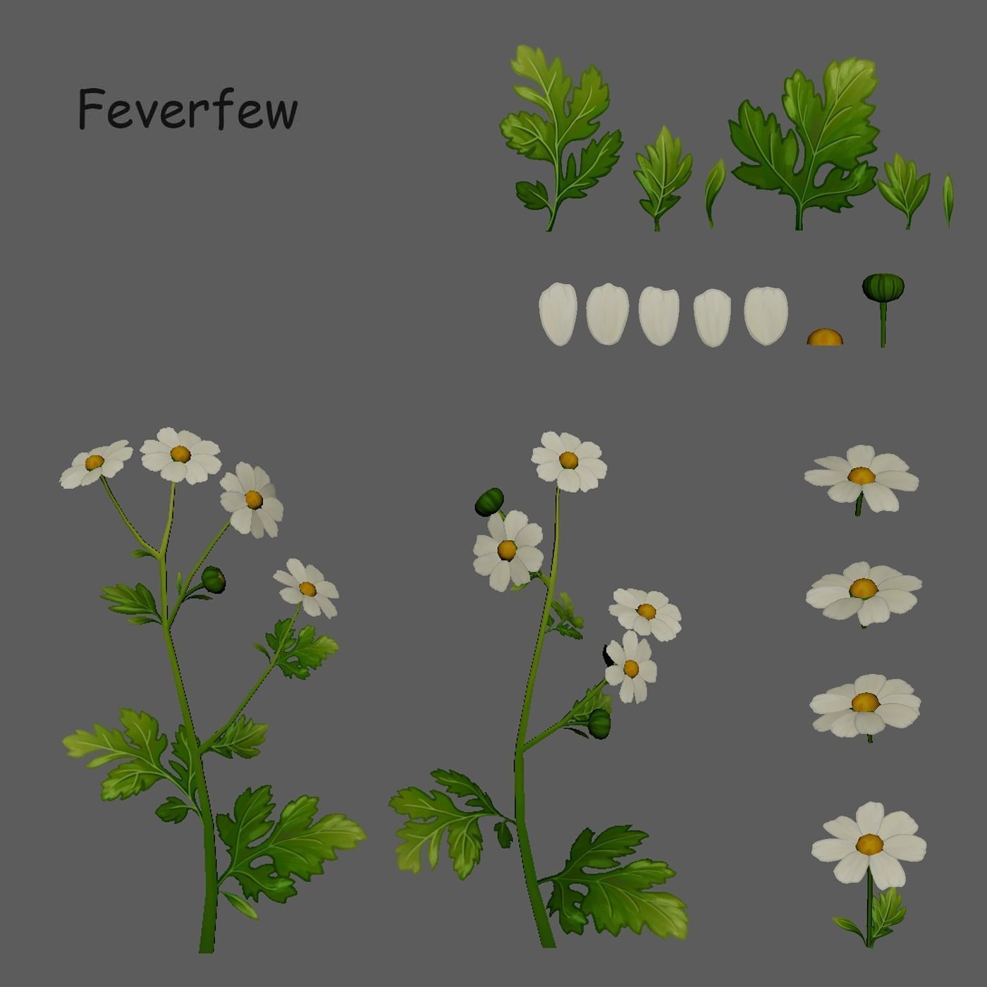 Pack Stylized handpainted plants and sprigs Low-poly 3D model_4