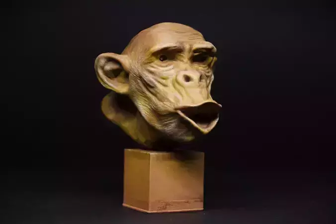 chimpanzee 3D print model 
