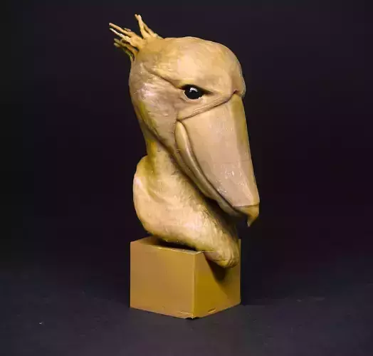Shoebill 3D print model 
