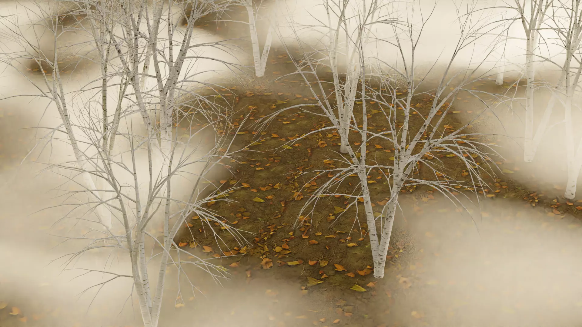 High Quality Beautiful Birch  Tree Pack Free low-poly 3D model_0