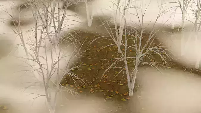 High Quality Beautiful Birch  Tree Pack Free low-poly 3D model