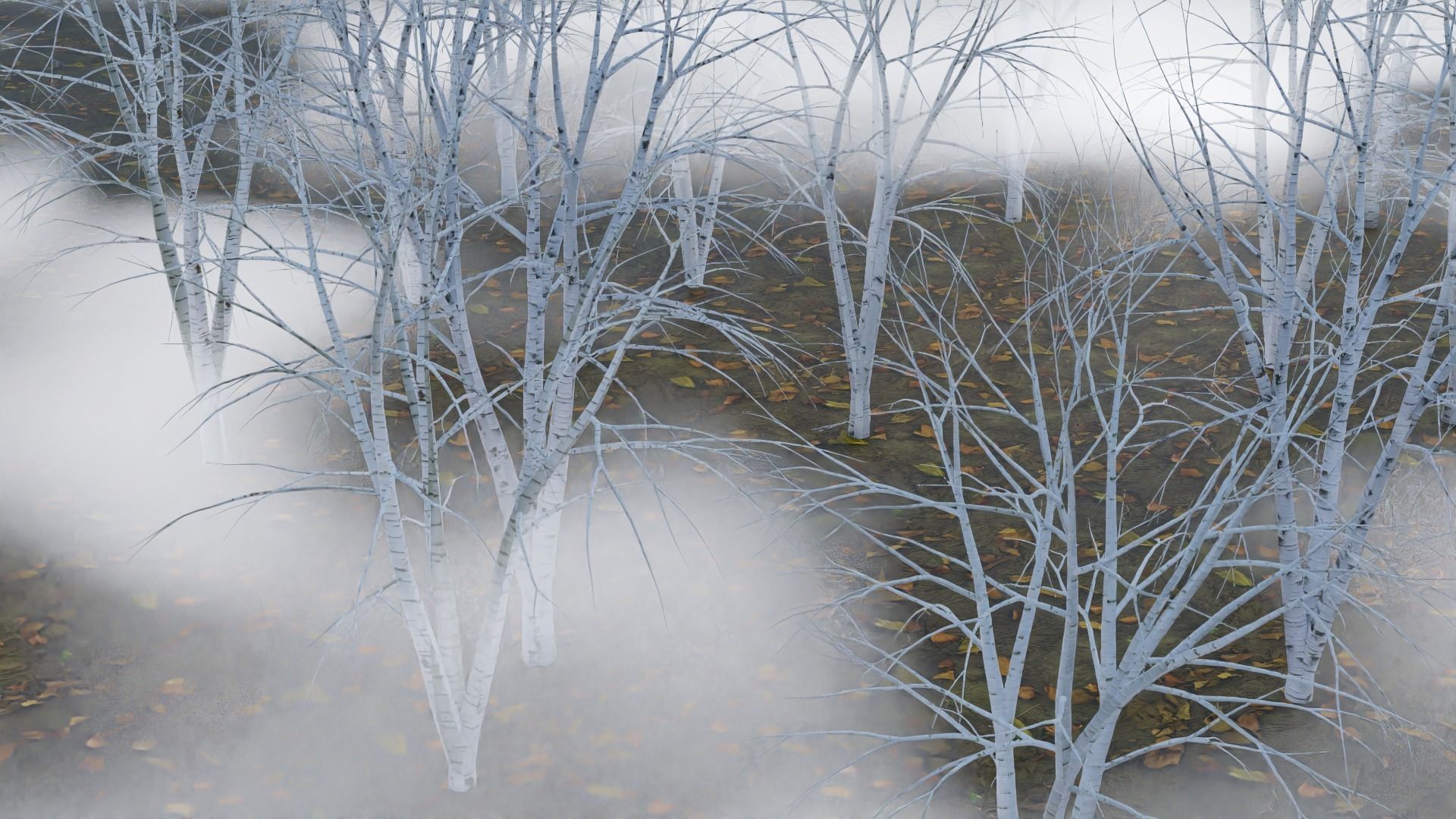 High Quality Beautiful Birch  Tree Pack Free low-poly 3D model_4