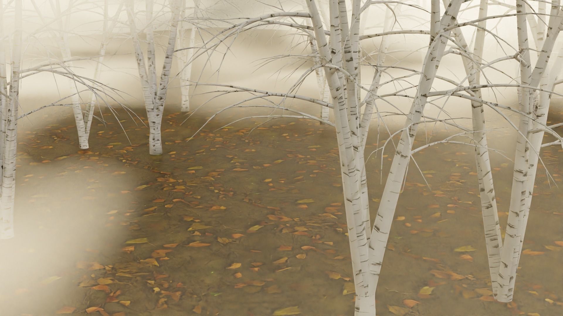 High Quality Beautiful Birch  Tree Pack Free low-poly 3D model_3
