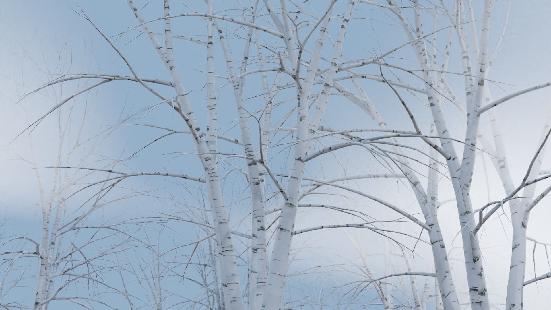 High Quality Beautiful Birch  Tree Pack Free low-poly 3D model_5