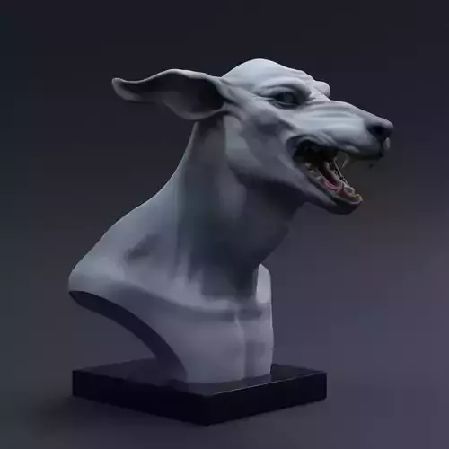 Canine Sculpt