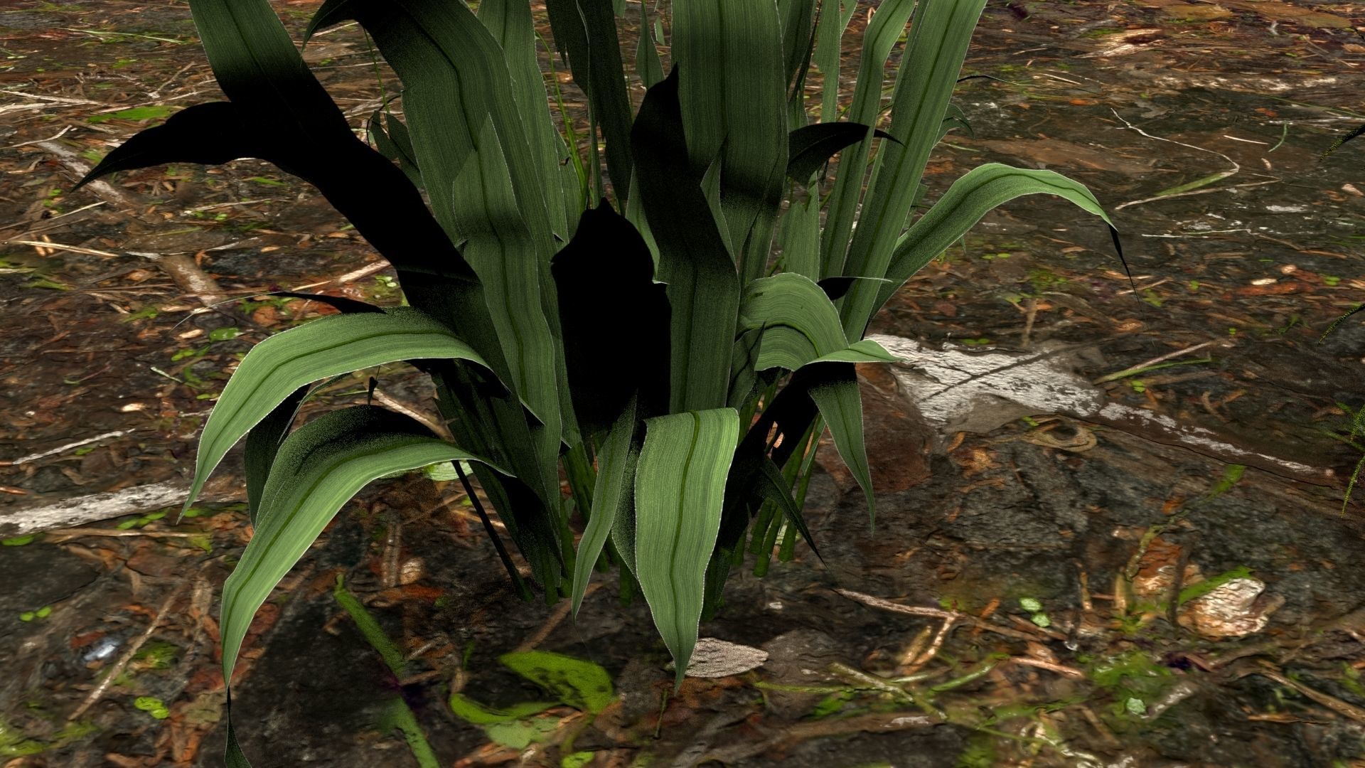 Plants  3D model_6