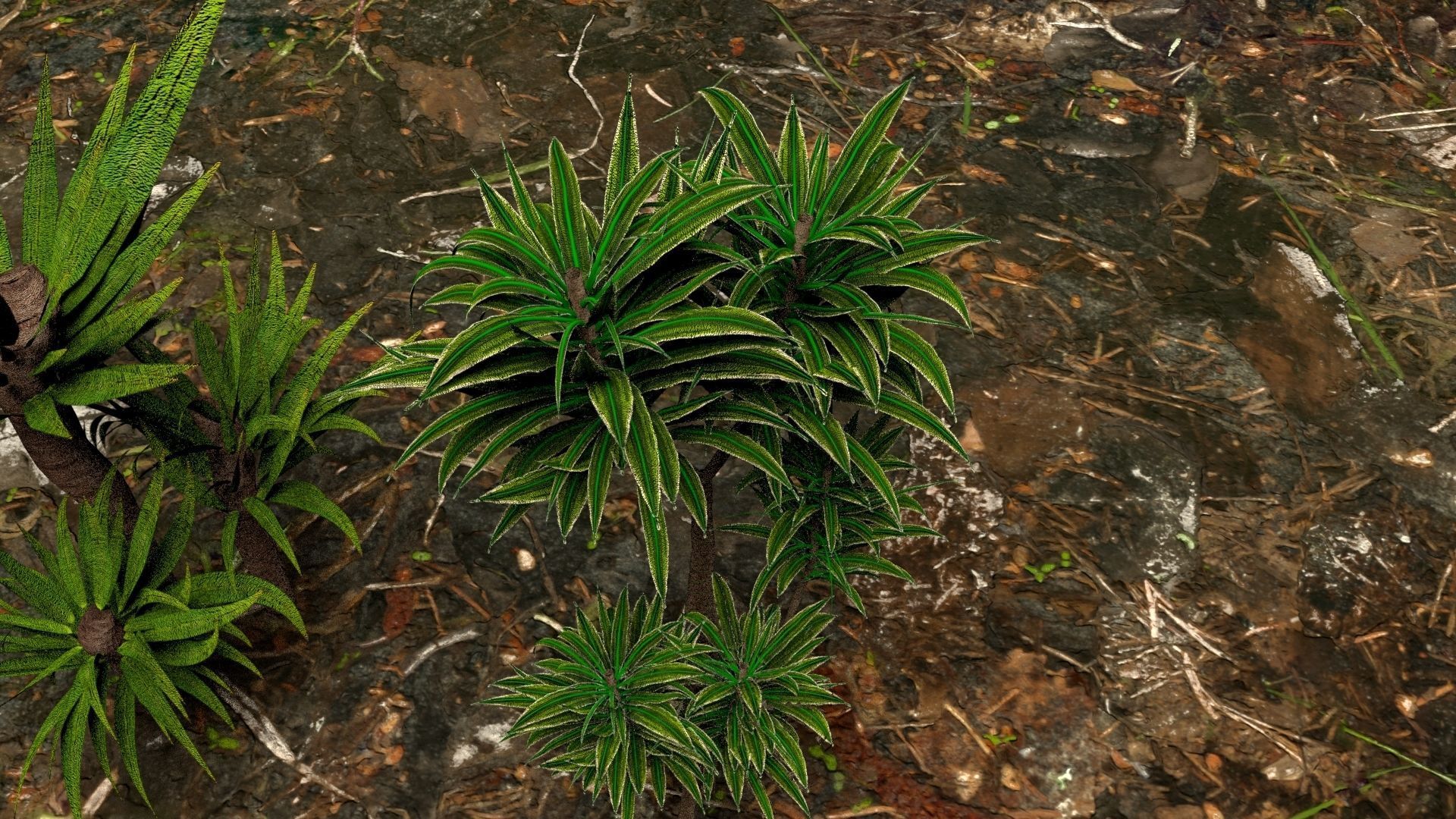 Plants  3D model_4