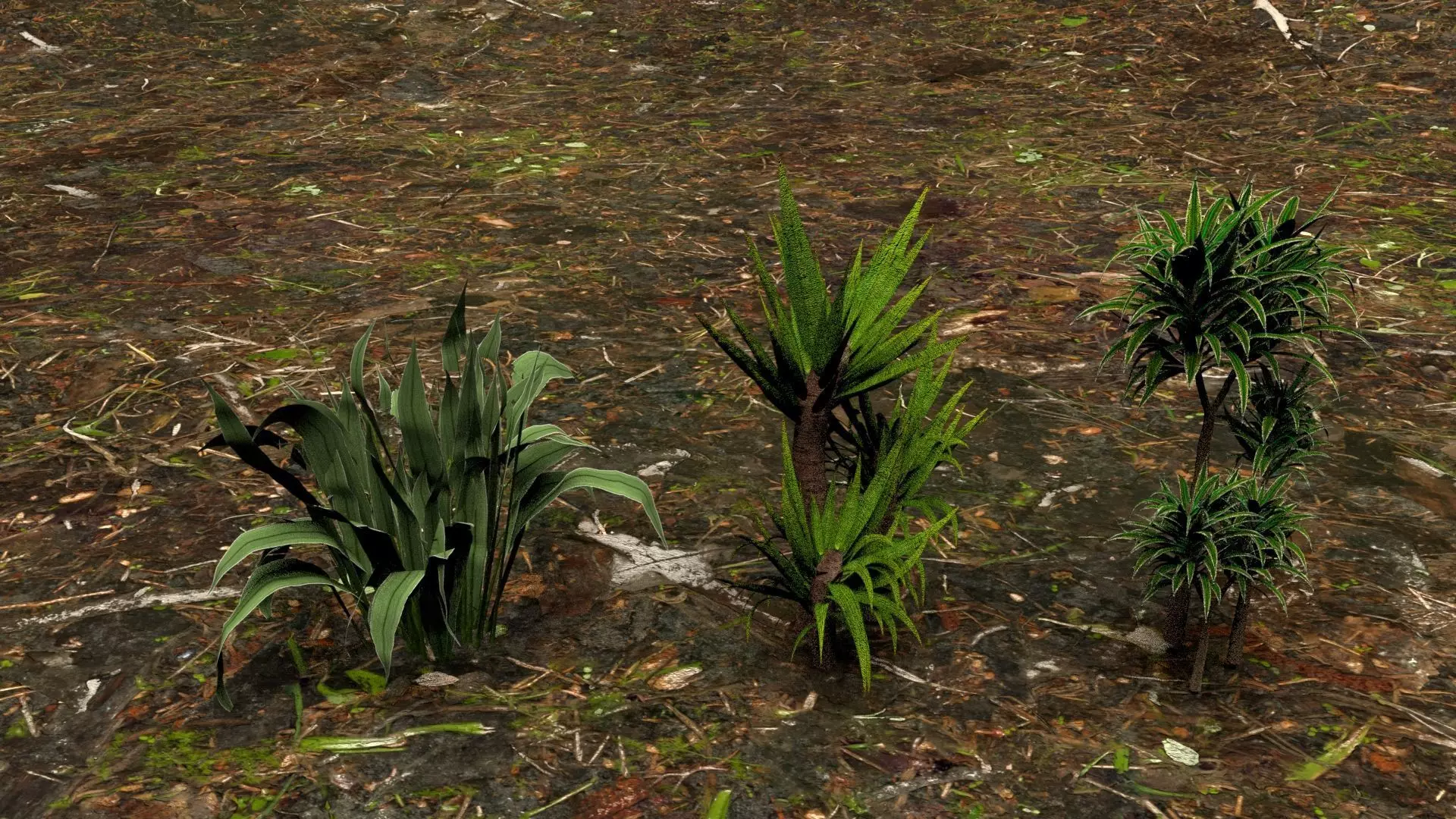 Plants  3D model_0