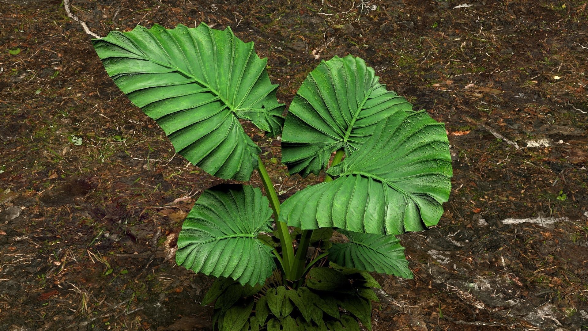 Plants 3D 3D model_1