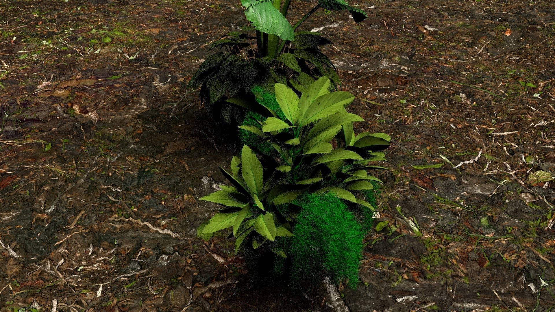 Plants 3D 3D model_2