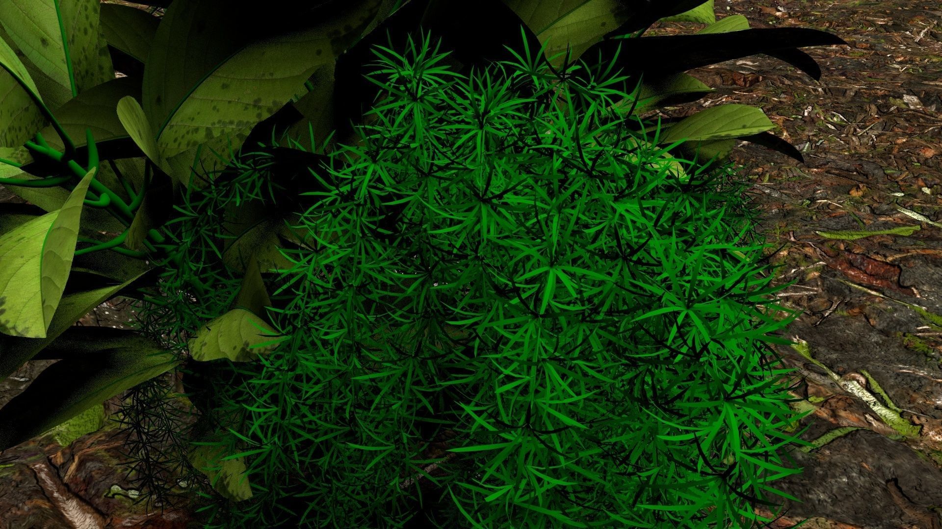 Plants 3D 3D model_4