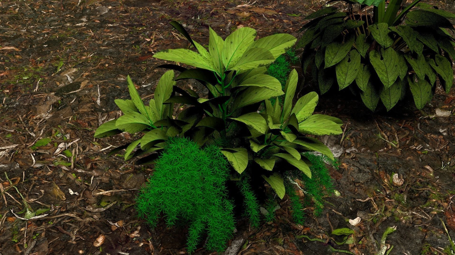 Plants 3D 3D model_10