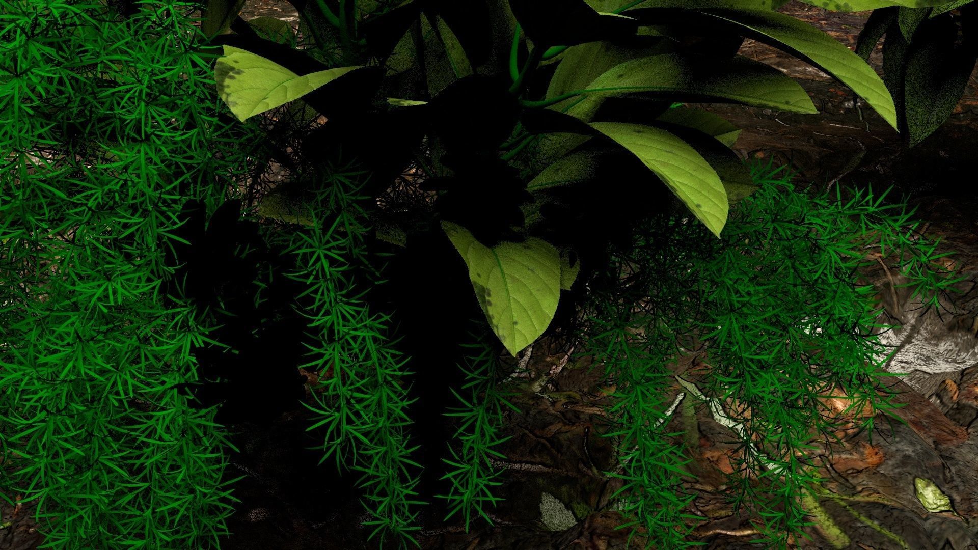 Plants 3D 3D model_7
