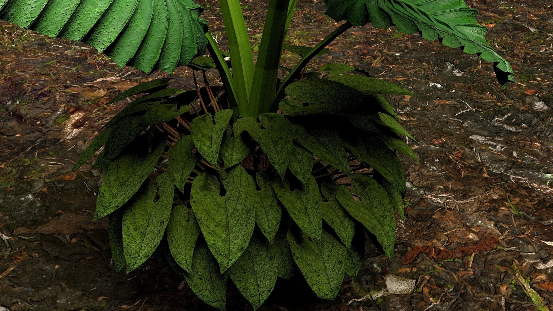 Plants 3D 3D model_9