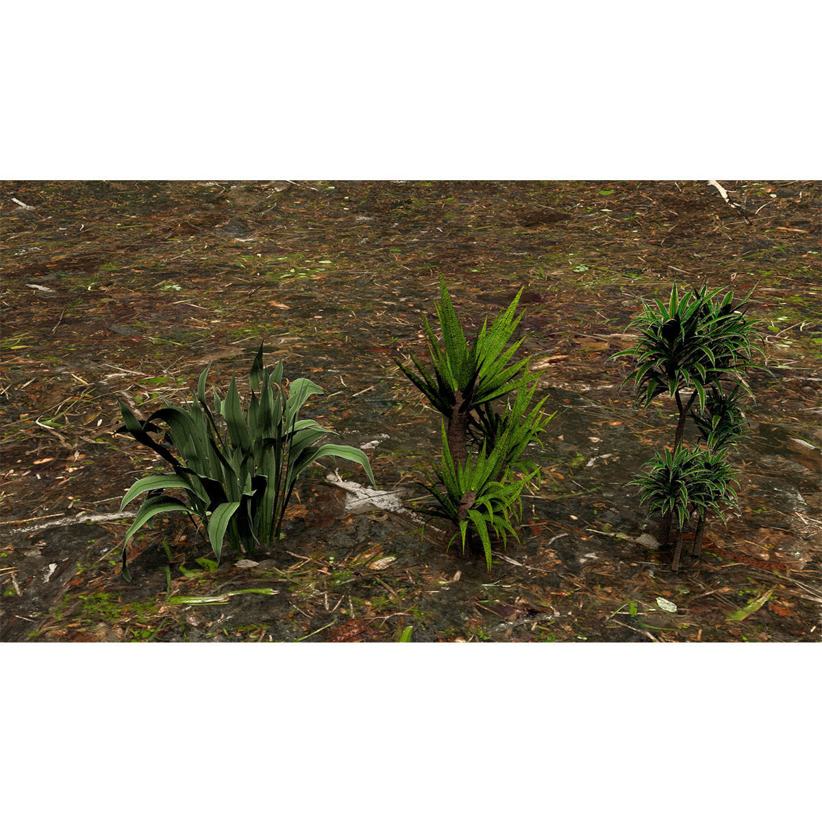 Plants 3D model_10