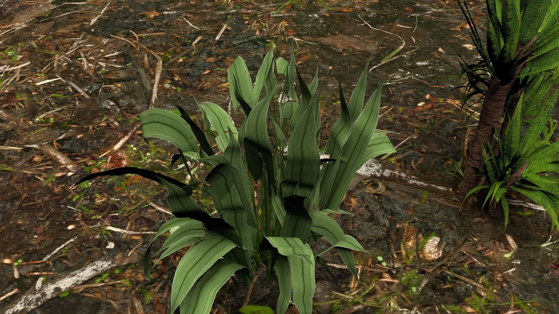 Plants 3D model_2