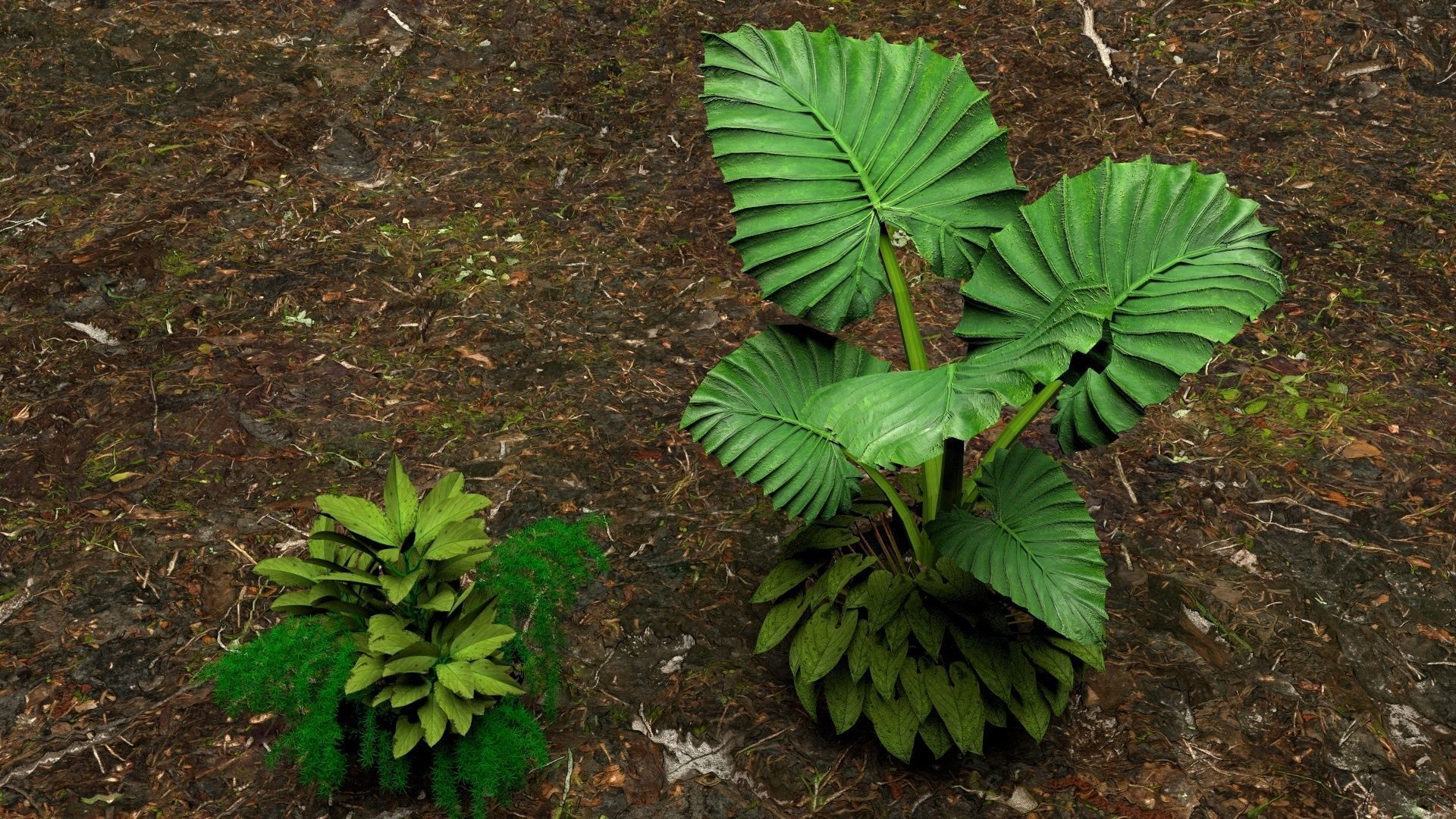 Plants 3D model_8