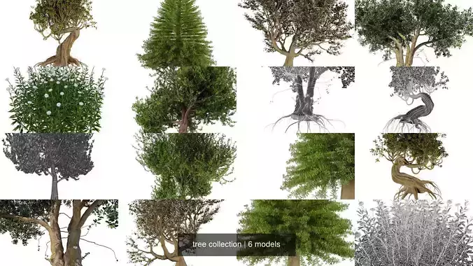 tree collection 