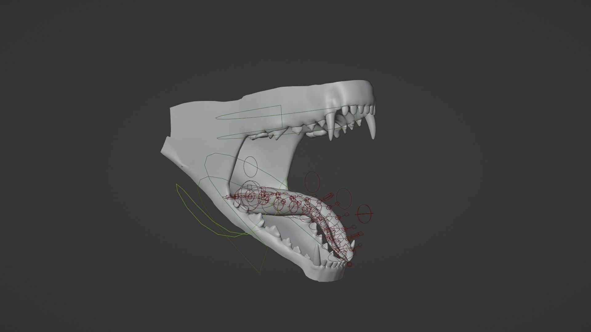 Red Fox Animation VFX Grace 3D model_27