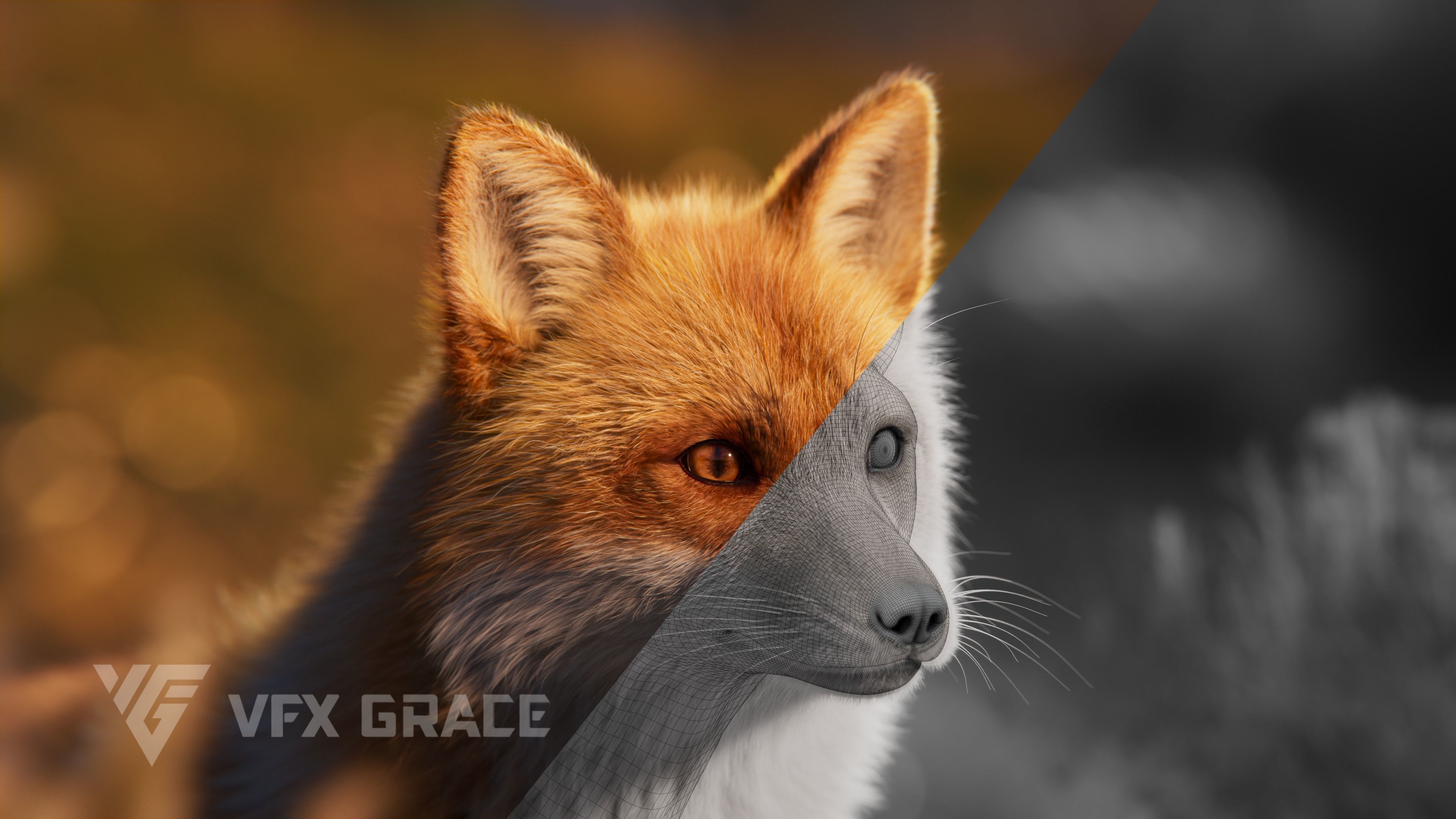 Red Fox Animation VFX Grace 3D model_9