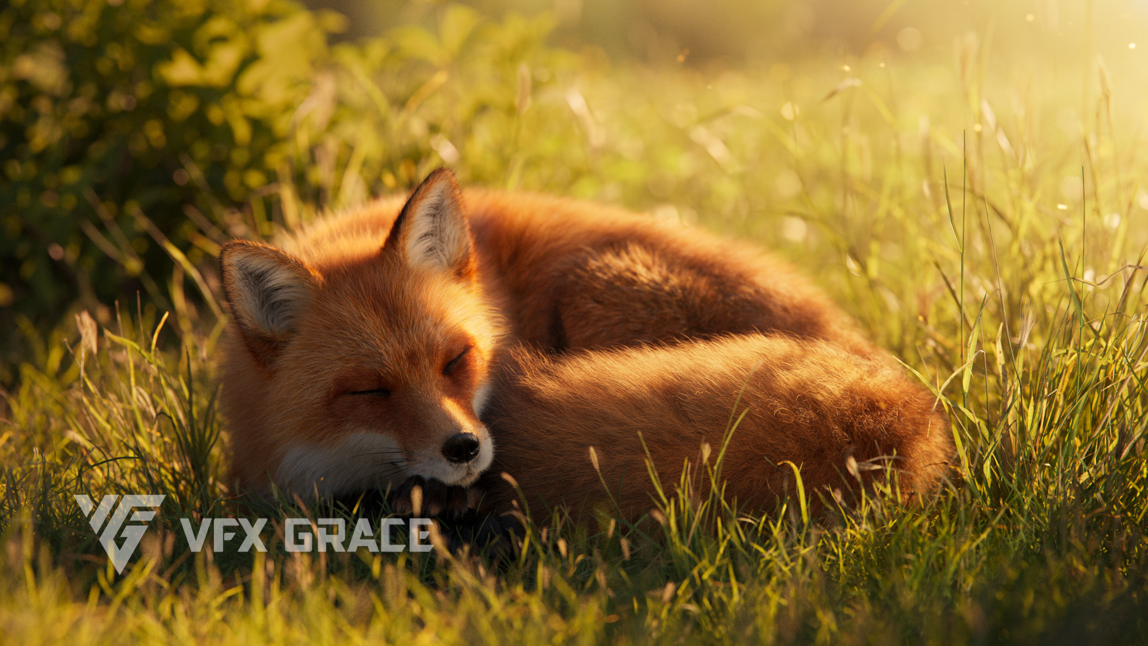 Red Fox Animation VFX Grace 3D model_6