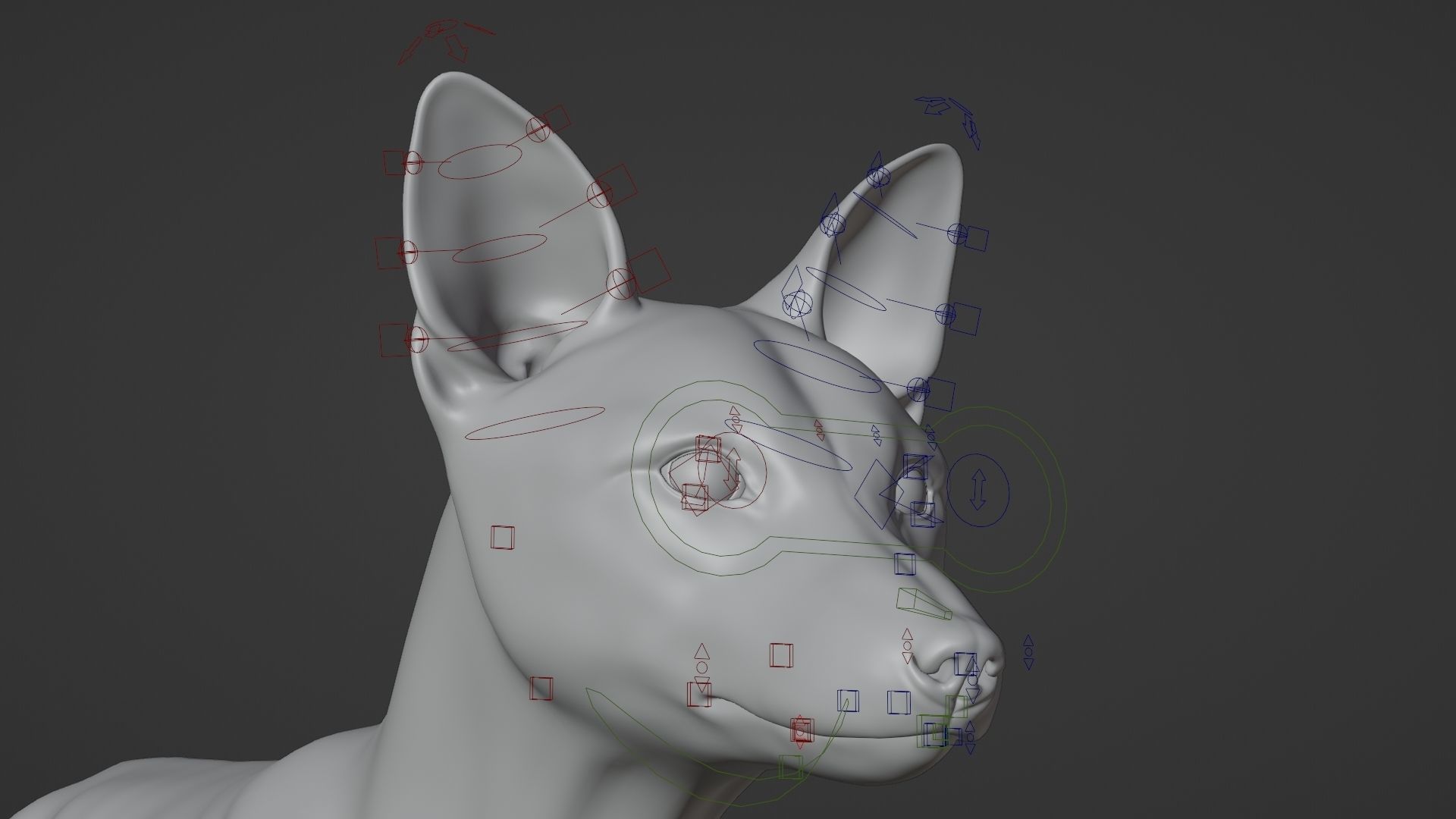 Red Fox Animation VFX Grace 3D model_23