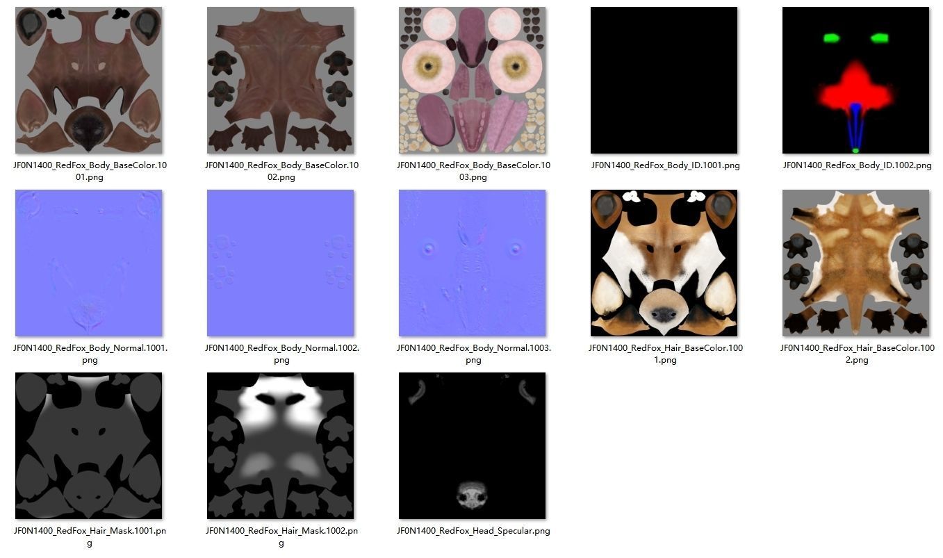 Red Fox Animation VFX Grace 3D model_32