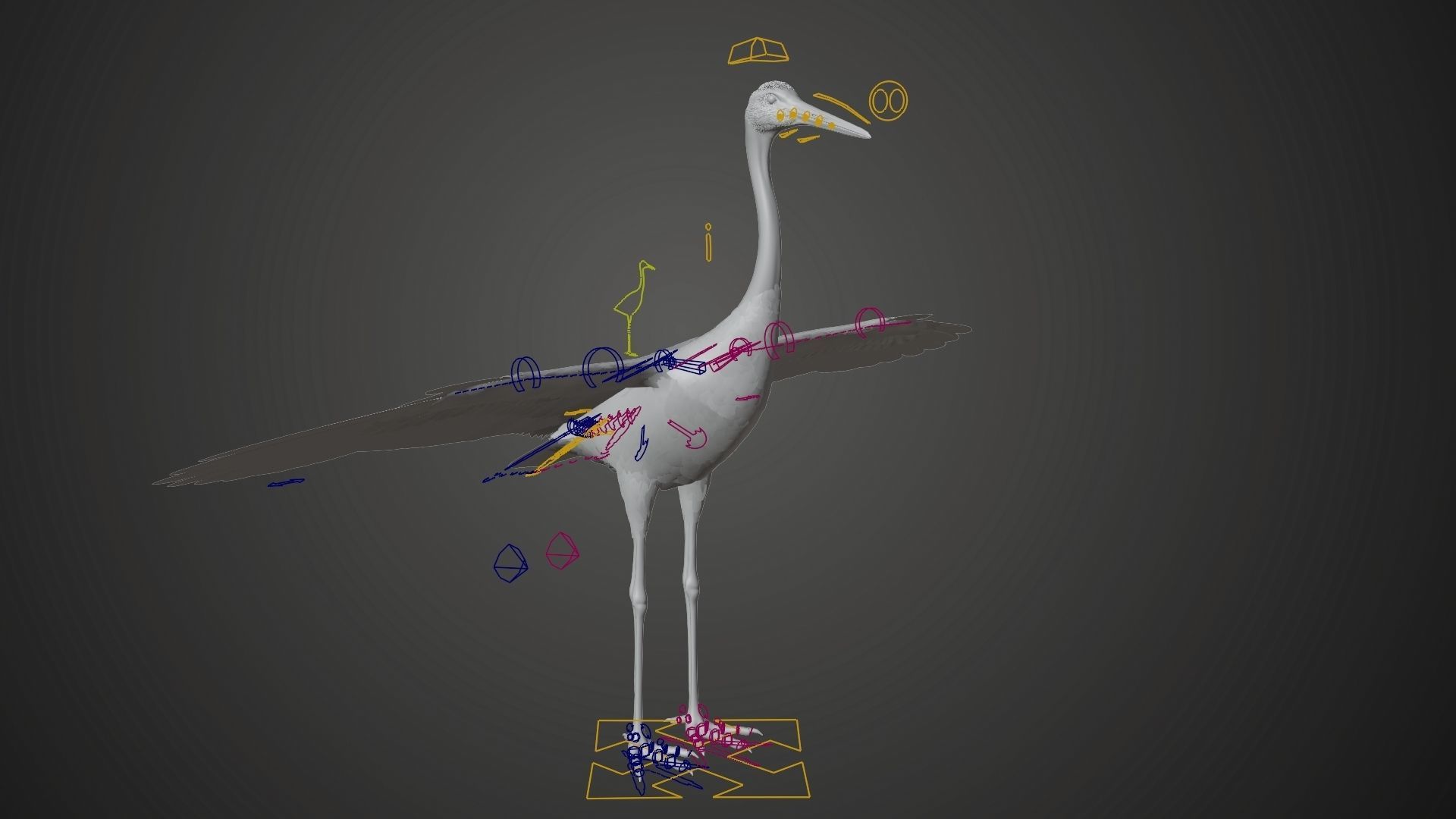 Red-Crowned Crane Animation VFX Grace 3D model_27