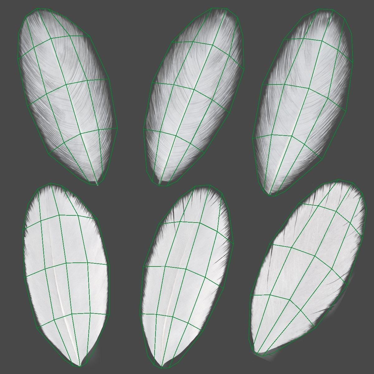 Red-Crowned Crane Animation VFX Grace 3D model_53