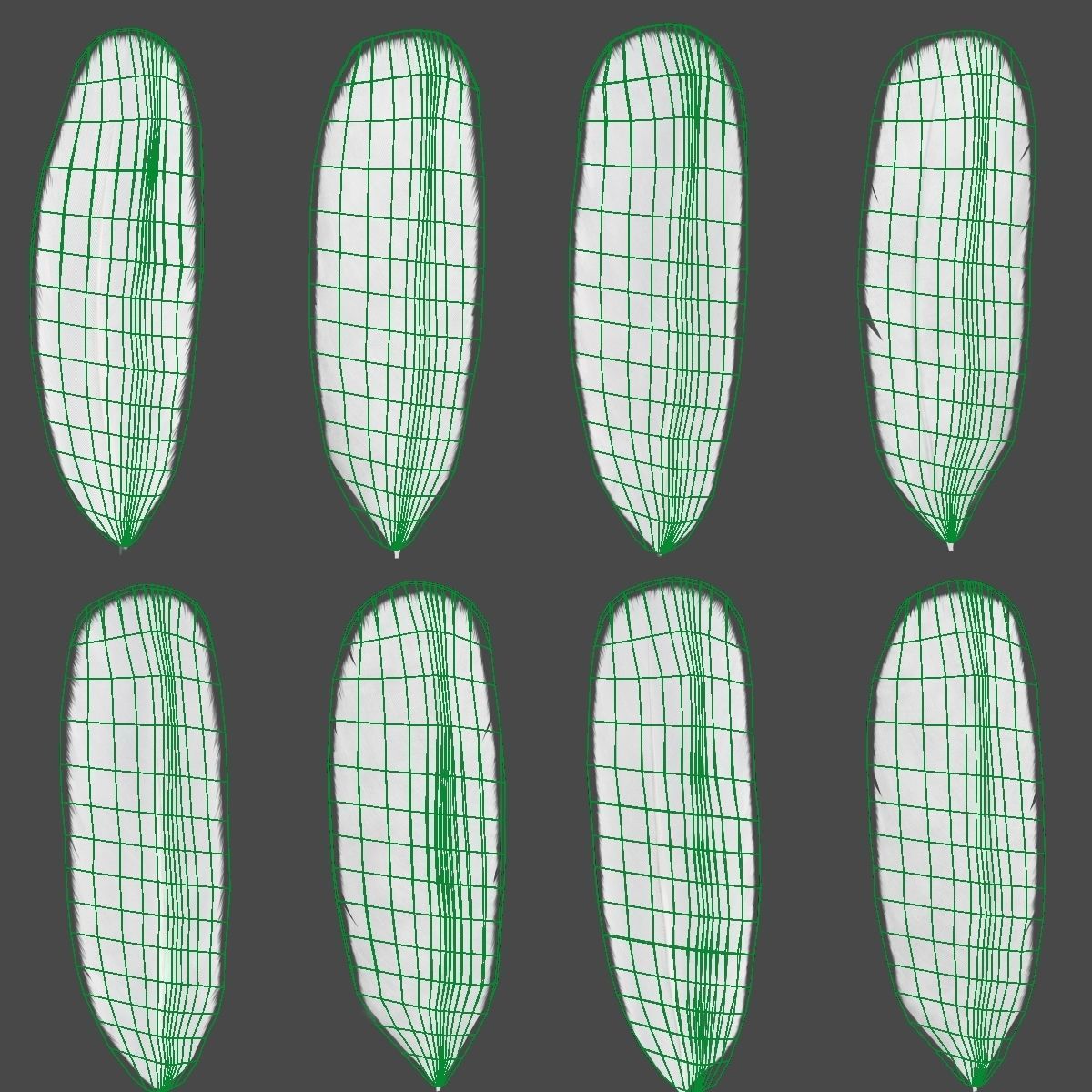 Red-Crowned Crane Animation VFX Grace 3D model_48