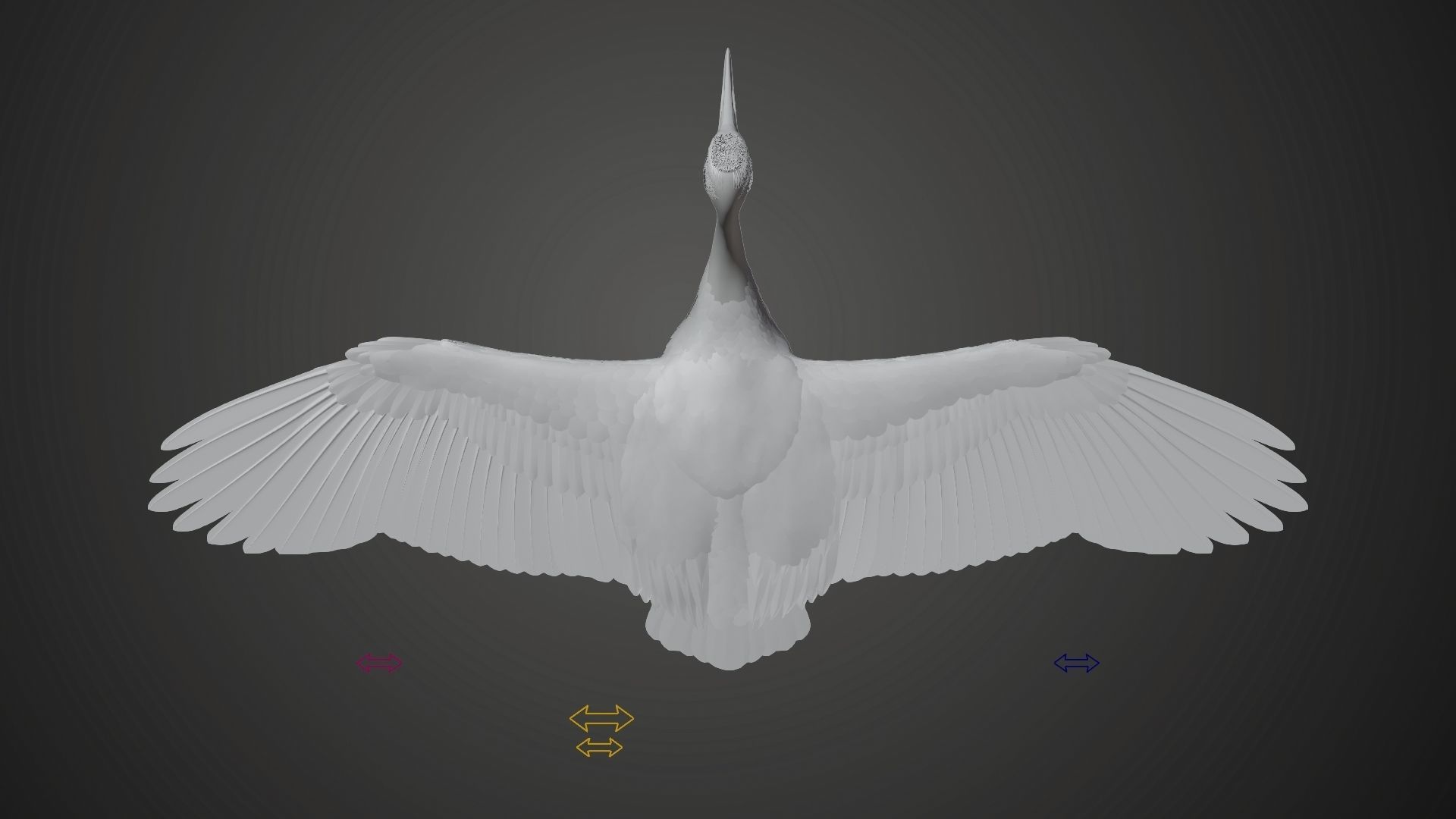 Red-Crowned Crane Animation VFX Grace 3D model_41