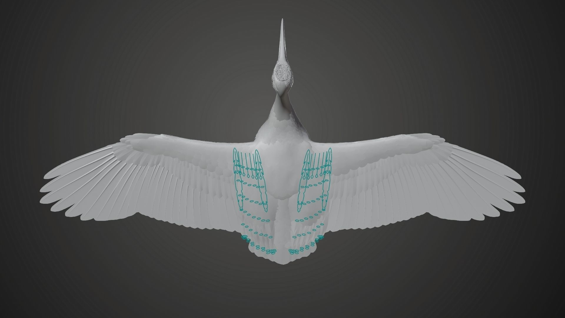 Red-Crowned Crane Animation VFX Grace 3D model_36