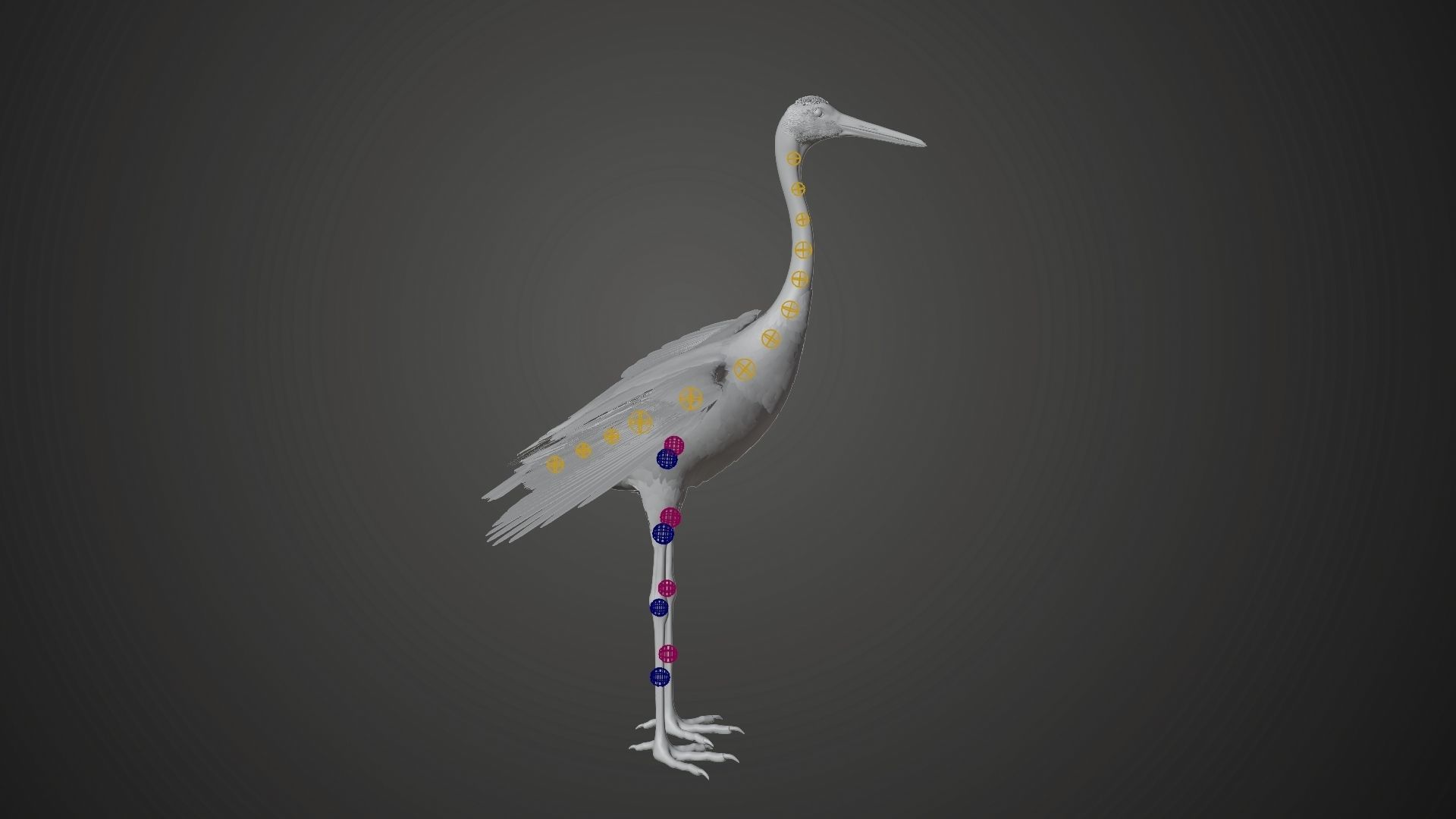 Red-Crowned Crane Animation VFX Grace 3D model_30